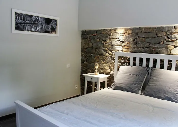 Le Voltaire Daire *